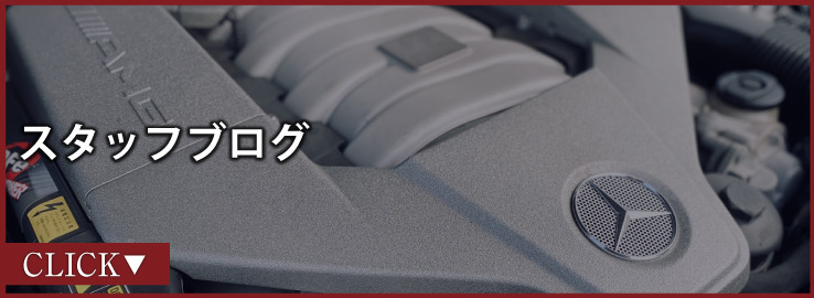 スタッフブログ